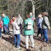 03 bei Waldhausen - Schättere-Trasse